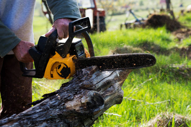 Best Soil Testing and Treatment  in El Sobrante, CA